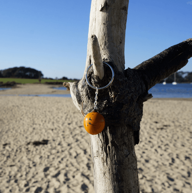 Graine Orange